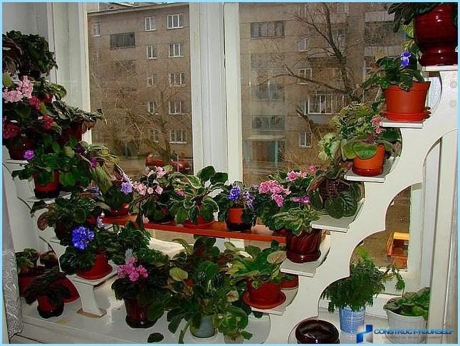 Hylder til blomster: væg, gulv, i vindueskarmen, på balkonen