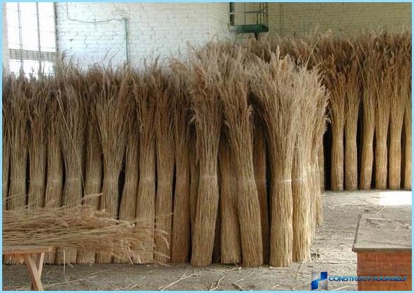 Reed çatı: sazlık nasıl hasat edilir, kaplama teknolojisi