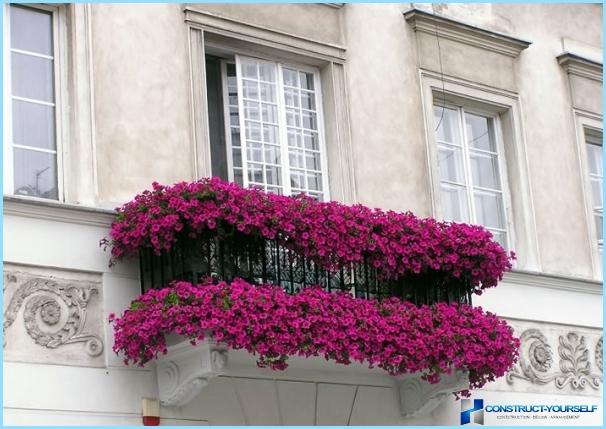 Sådan dekoreres en balkon med blomster