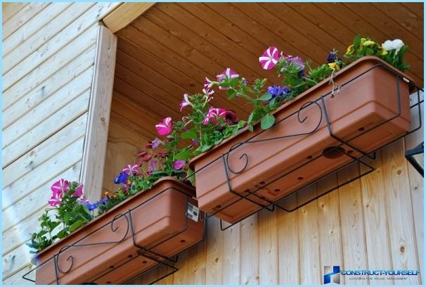 Sådan dekoreres en balkon med blomster