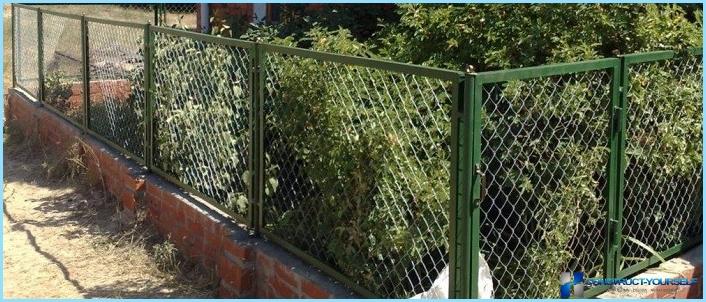 Fence for fence with their hands