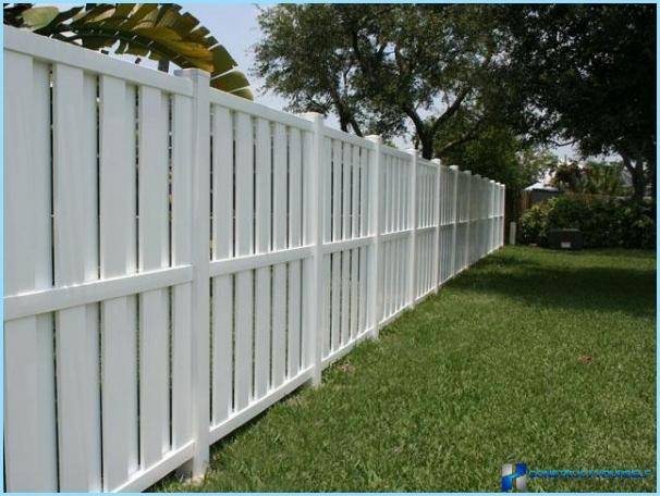 Decorative plastic fence