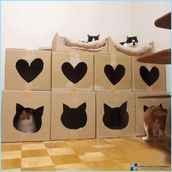 Къща за котки извън кутията