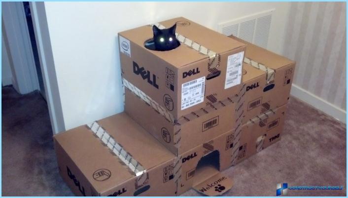 Kattehus ud af kassen