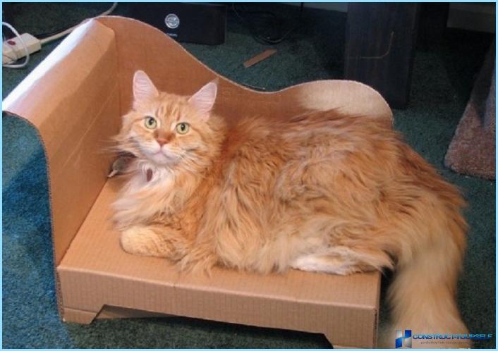 Kartonhaus für eine Katze