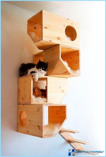 Houses for cats