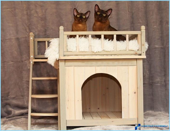 Houses for cats