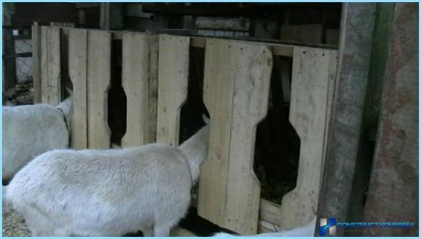 Wie man einen Ziegenfutterautomat macht