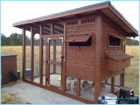 How to build a good chicken coop for 20, 30, 100 chickens