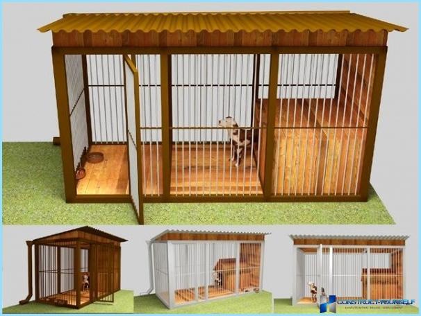 How to make an aviary for a dog with their hands: dimensions, drawings