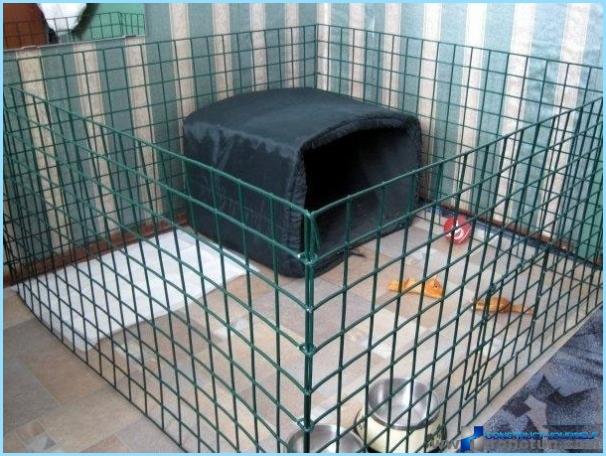 How to make an aviary for a dog with their hands: dimensions, drawings