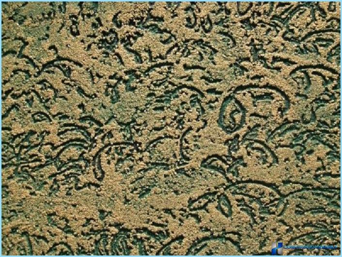Decorative plaster for walls, woodworm