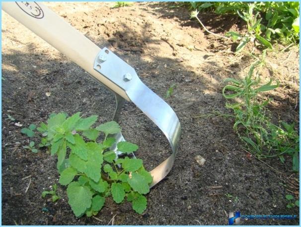 Værktøj til have og have