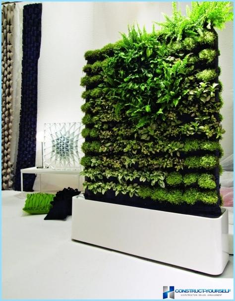 Vertical gardening in the interior of the apartment