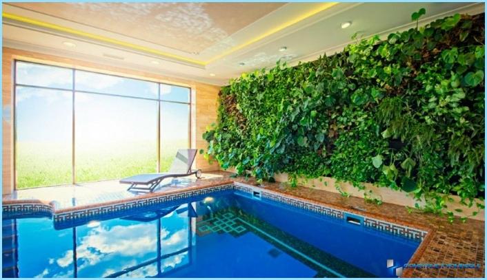 Vertical gardening in the interior of the apartment