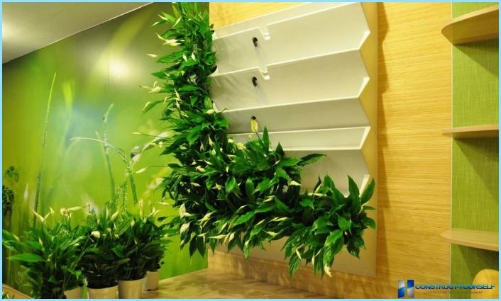 Vertical gardening in the interior of the apartment