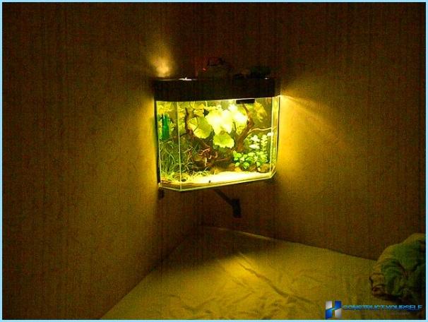 Design en stue med et akvarium