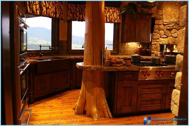 Kitchen interior in rustic style