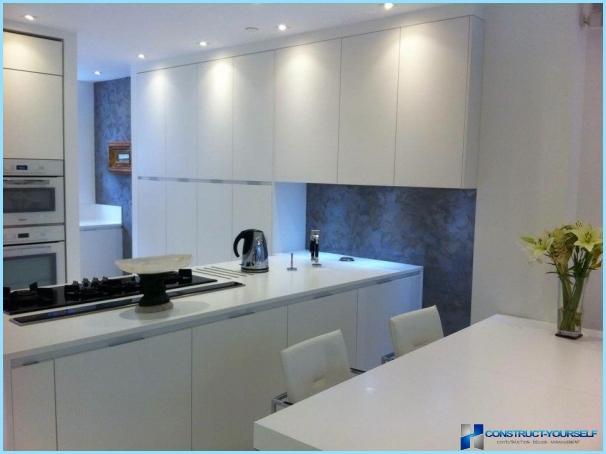 Modern design ideas wall in the kitchen