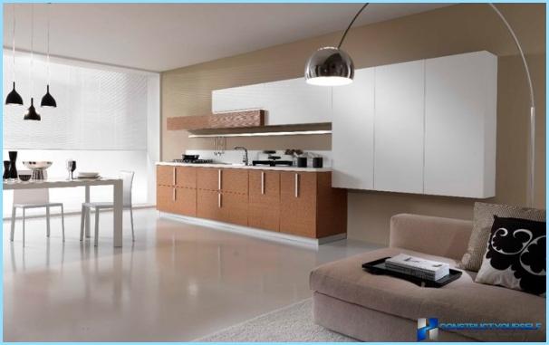 The minimalist style in kitchen interior