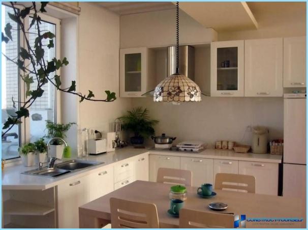 Kitchen design with sink at the window