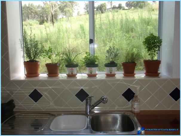 Küchendesign mit Fensterwäsche