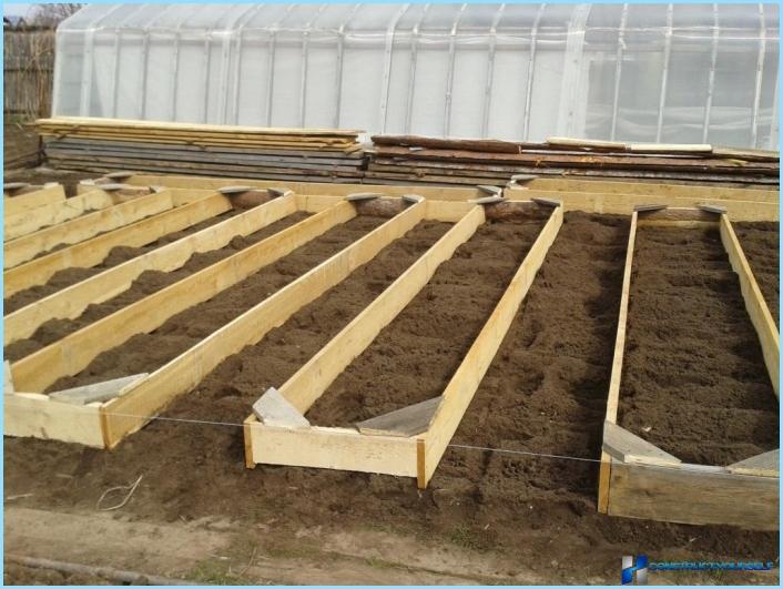 Detailed photo report: high beds from boards