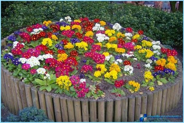 DIY Blumentöpfe für Blumen