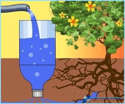 Wie man eine Tropfbewässerung im Land macht