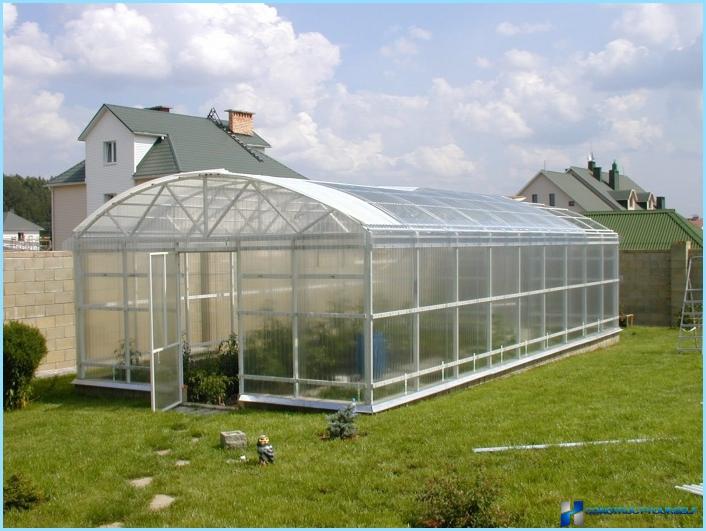 How to make a greenhouse out of galvanized profile