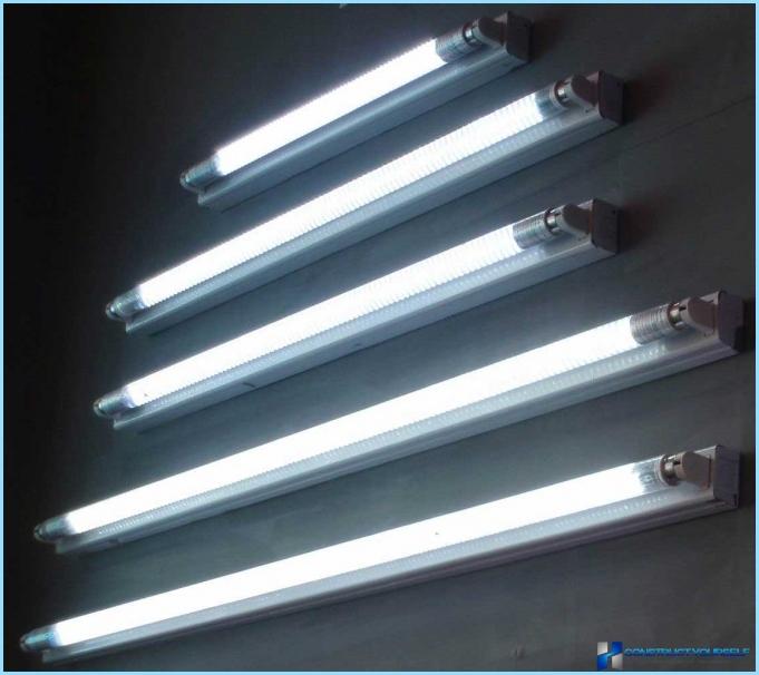 Illuminazione della serra con lampade a LED