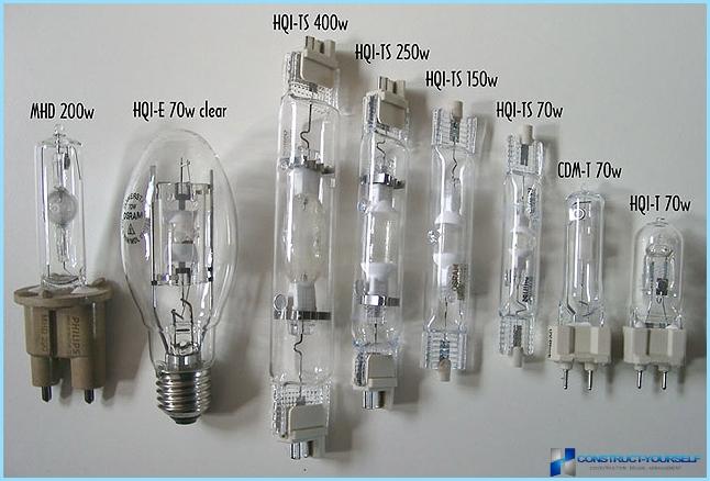 Illuminazione della serra con lampade a LED