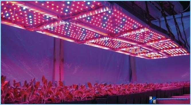 Greenhouse lighting led lamps