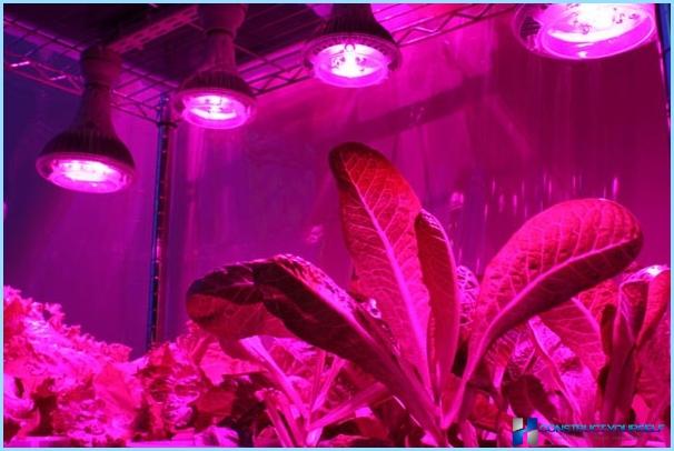 Greenhouse lighting led lamps