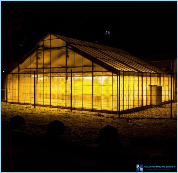 Illuminazione della serra con lampade a LED