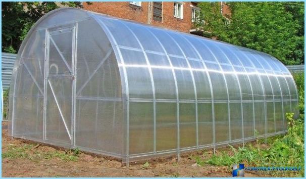 A greenhouse from cellular polycarbonate with their hands