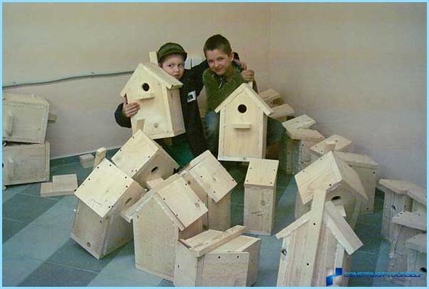 Vi laver et fuglehus med egne hænder i henhold til tegninger, fotos og video