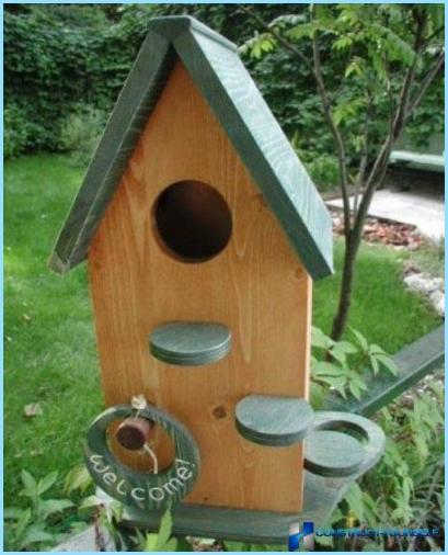 Make a birdhouse with your hands on the blueprints, pictures, and videos