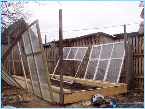 Greenhouse out of old window frames with their hands