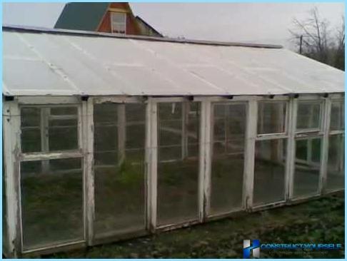 Greenhouse out of old window frames with their hands