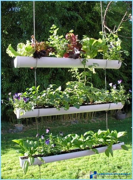 Направете сами вертикално градинарство в страната