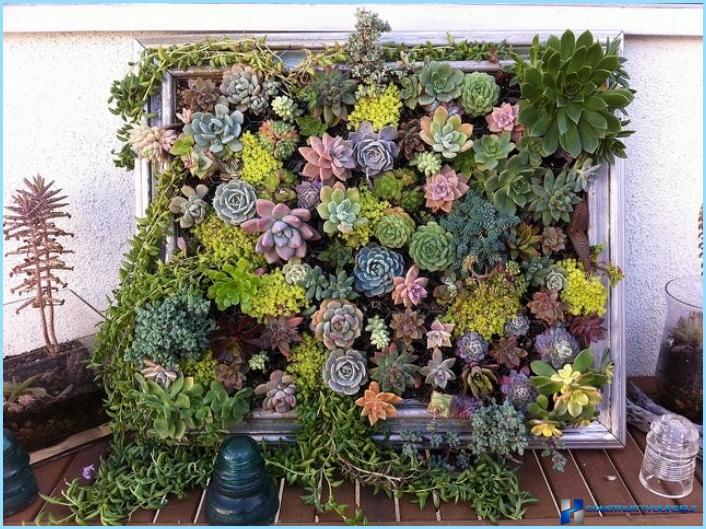 How to make a vertical flower beds