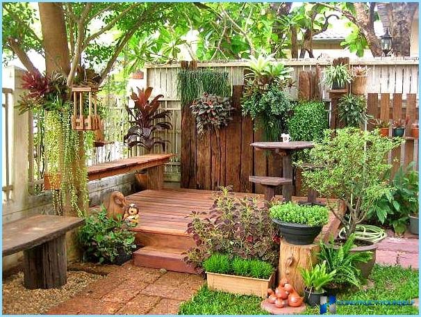 Озеленяване идеи на двора на частна къща