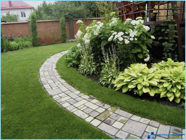 How to use host in landscape design