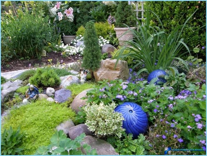 What plants are used for rockeries