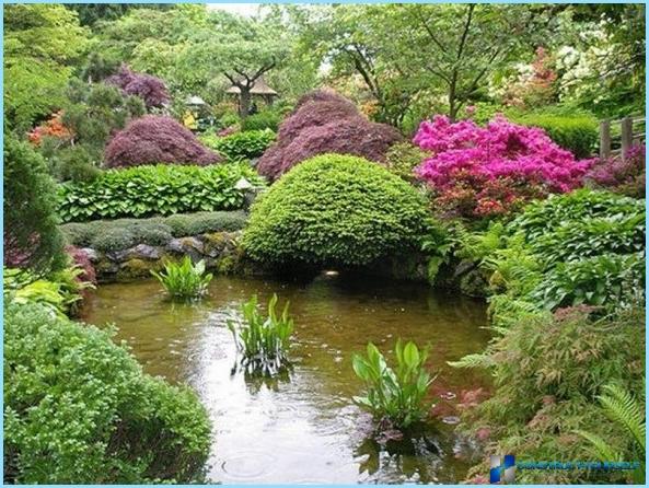 How to use gaharu in landscape design