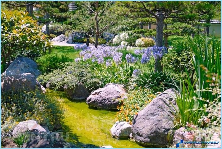 Rockery landscape design