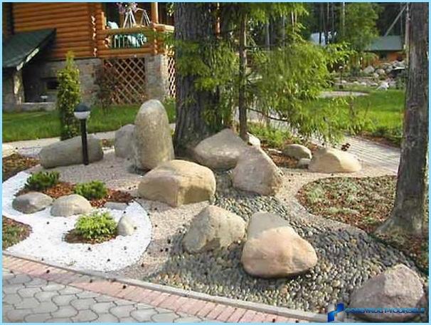 Rockery landscape design