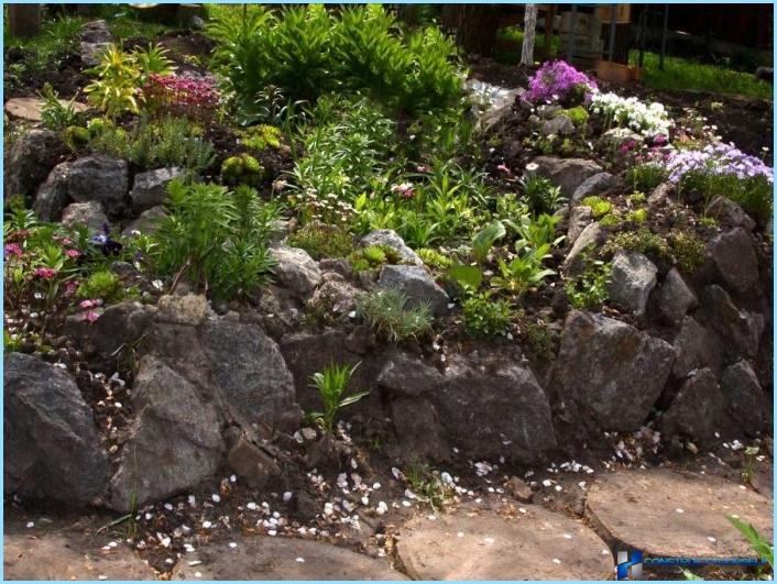 Rockery landscape design