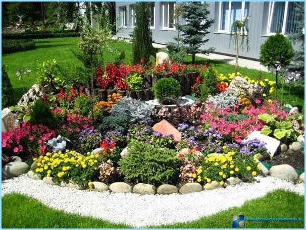 Rockery landscape design